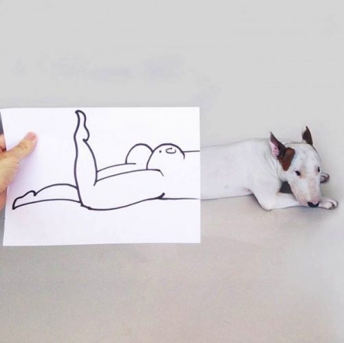 Rafael_Mantesso_Creates_Playfull_Illustrations_Around_His_Bull_Terrier_2014_05