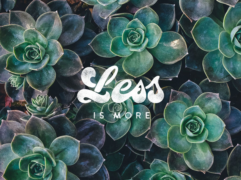 Dribbble inspiration / less is more